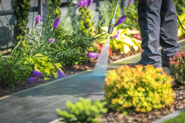 Best Concrete Surface Cleaning in Icard, NC